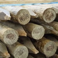 Round Timbers