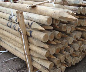 7' 5-6" ptd top dia Dried and treated