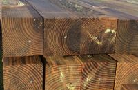 2.4m 100 x 100 Kiln Dried Pine Post